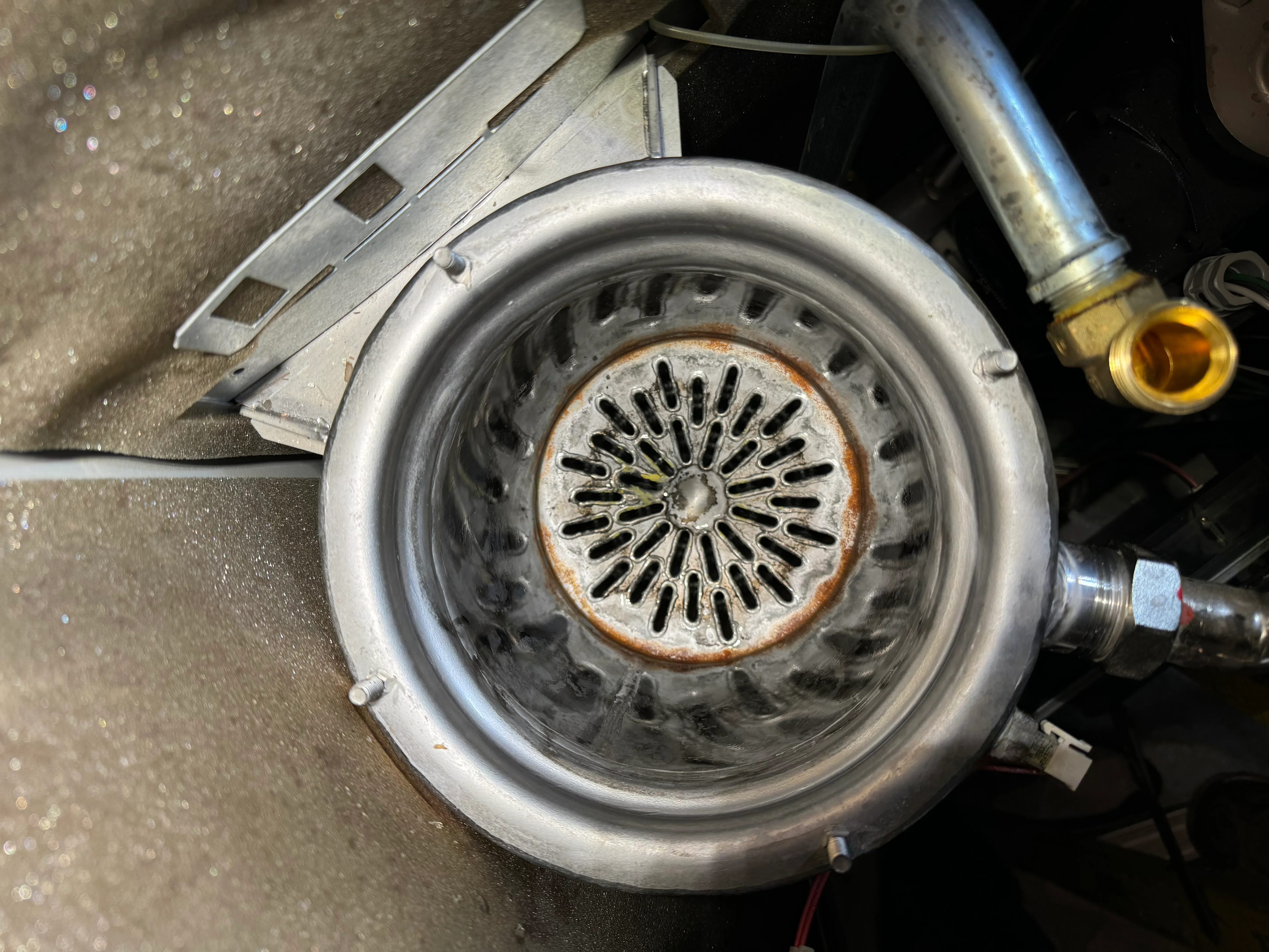 Boiler combustion chamber with burner assembly and oxidized heat exchanger surfaces